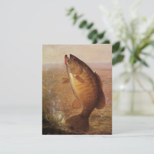Vintage Sports Fishing, Largemouth Brown Bass Fish