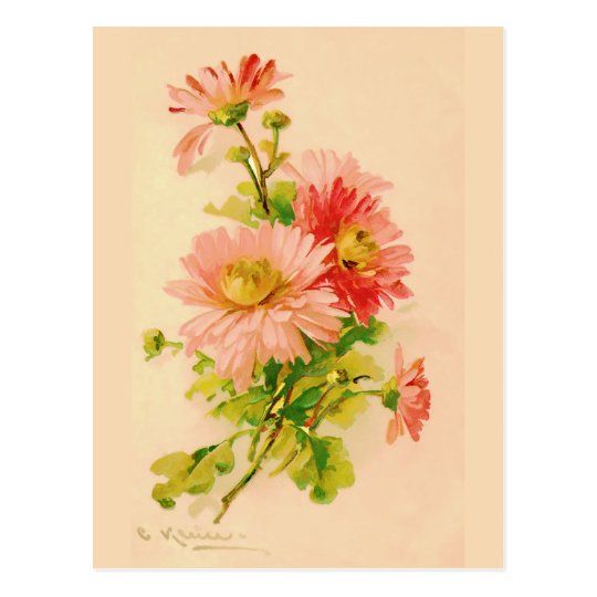 Vintage Spring Bouquet Postcard