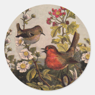 Vintage Spring Robin Songbirds Botanical Floral Classic Round Sticker