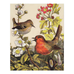Vintage Spring Robin Songbirds Botanical Floral Poster