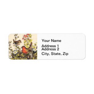 Vintage Spring Robin Songbirds Botanical Floral Return Address Label