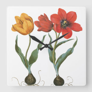 Vintage Spring Tulip Flowers by Basilius Besler Square Wall Clock