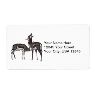 Vintage Springbok Shipping Labels