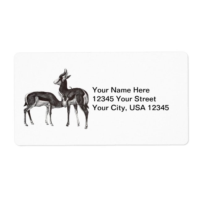 Vintage Springbok Shipping Labels (Front)