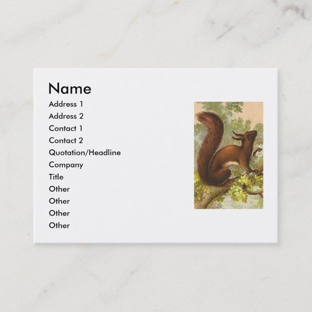 Vintage Squirrel Business Card (Front)