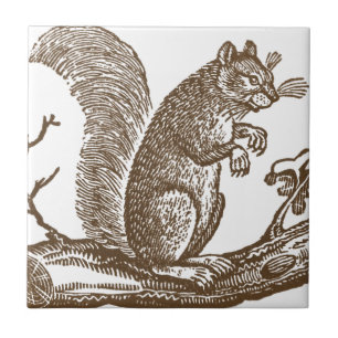 Vintage Squirrel Ceramic Tile