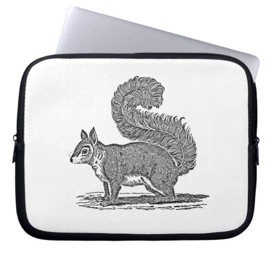Vintage Squirrel Illustration - 1800's Squirrels Laptop Sleeve