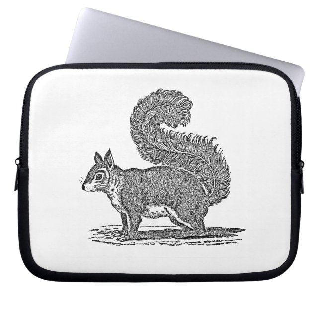 Vintage Squirrel Illustration - 1800's Squirrels Laptop Sleeve (Front)