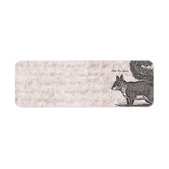 Vintage Squirrel Illustration - 1800's Squirrels Return Address Label