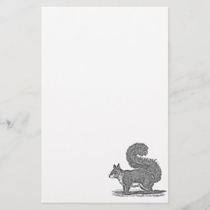 Vintage Squirrel Illustration - 1800's Squirrels Stationery