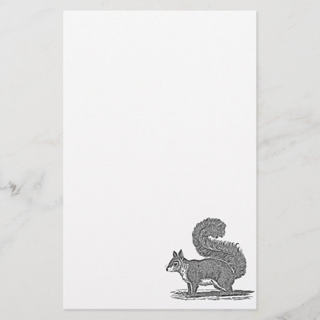 Vintage Squirrel Illustration - 1800's Squirrels Stationery (Front)