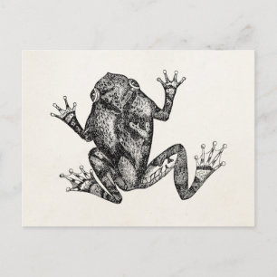 Vintage Squirrel Tree Toad - Reptile Frog Template Postcard