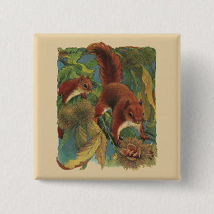 Vintage Squirrels, Forest Creatures, Wild Animals 15 Cm Square Badge