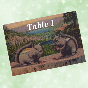 Vintage Squirrels Mountain Scene Table Number