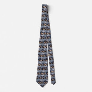 Vintage Steamboat Racing on Mississippi River Tie