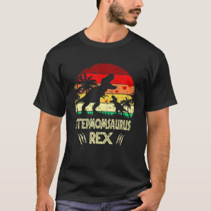 Vintage Stepmomsaurus Rex Dinosaur Funny Rex Mothe T-Shirt