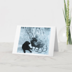 Vintage Stereoview Baby in Sled and Black Dog Holiday Card