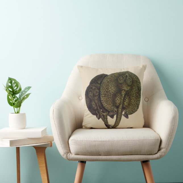 Vintage Sting Rays Stingrays, Marine Life Animals Cushion (Chair)
