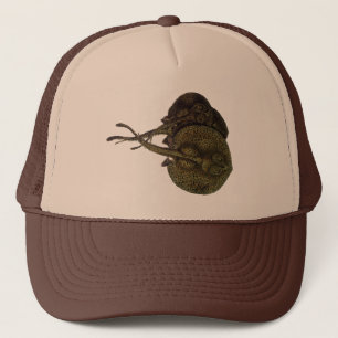 Vintage Sting Rays Stingrays, Marine Life Animals Trucker Hat