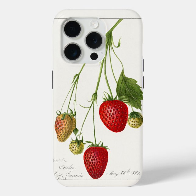 Vintage Strawberries  Case-Mate iPhone Case (Back)