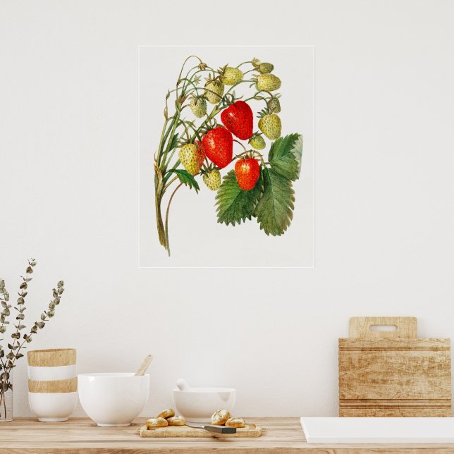 Vintage Strawberry Branch Poster (Kitchen)