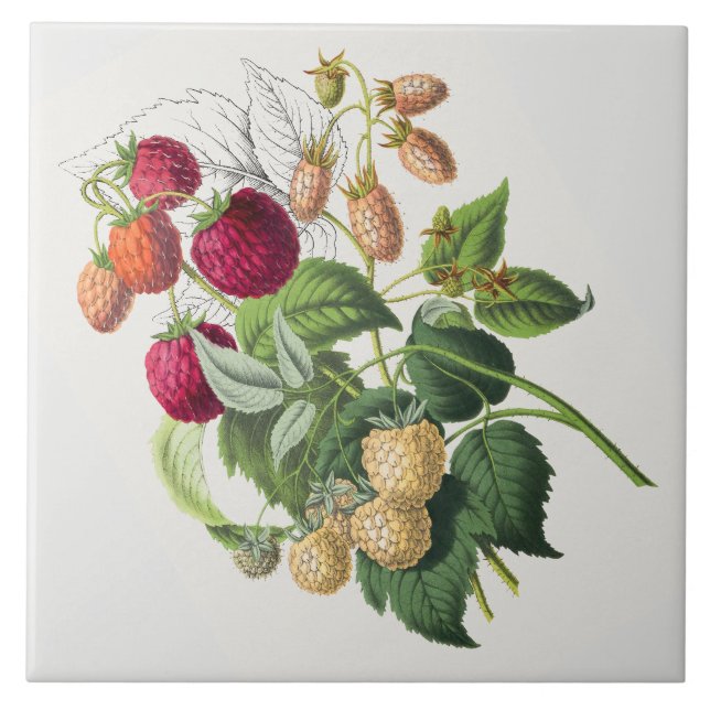 Vintage strawberry ceramic tile (Front)