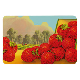 Vintage Strawberry Crate Art Magnets