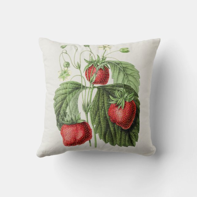 Vintage Strawberry Illustration Cushion (Back)