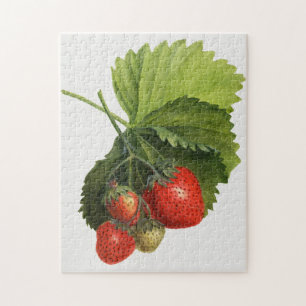 Vintage Strawberry Jigsaw Puzzle