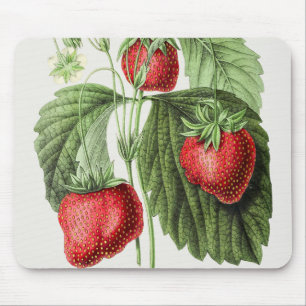 Vintage strawberry mouse pad