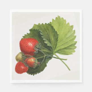 Vintage Strawberry Napkin