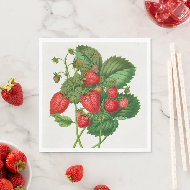 Vintage Strawberry Napkin (Insitu)