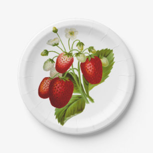 Vintage Strawberry. Paper Plate