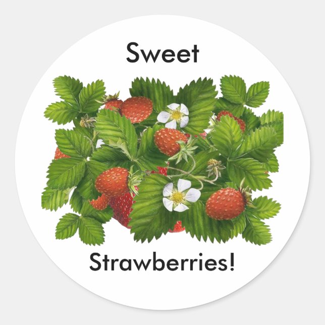 Vintage Strawberry Plant Classic Round Sticker (Front)