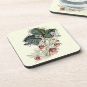 Vintage Strawberry Plant Drawing Coaster