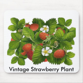 Vintage Strawberry Plant Mouse Pad