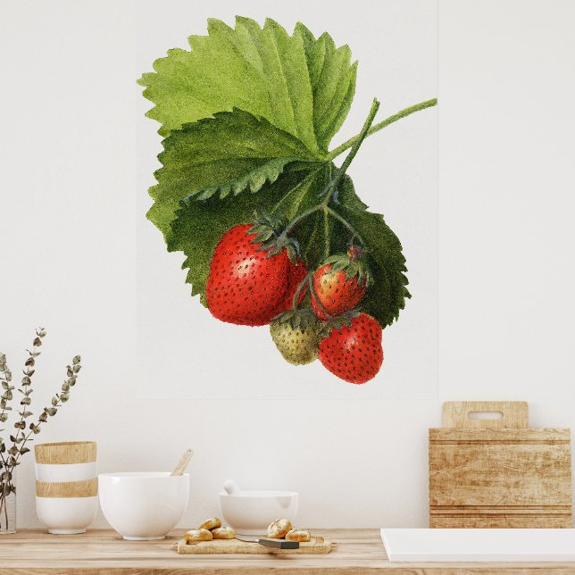Vintage Strawberry  Poster (Kitchen)