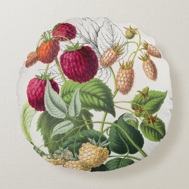 Vintage Strawberry  Round Cushion (Front)