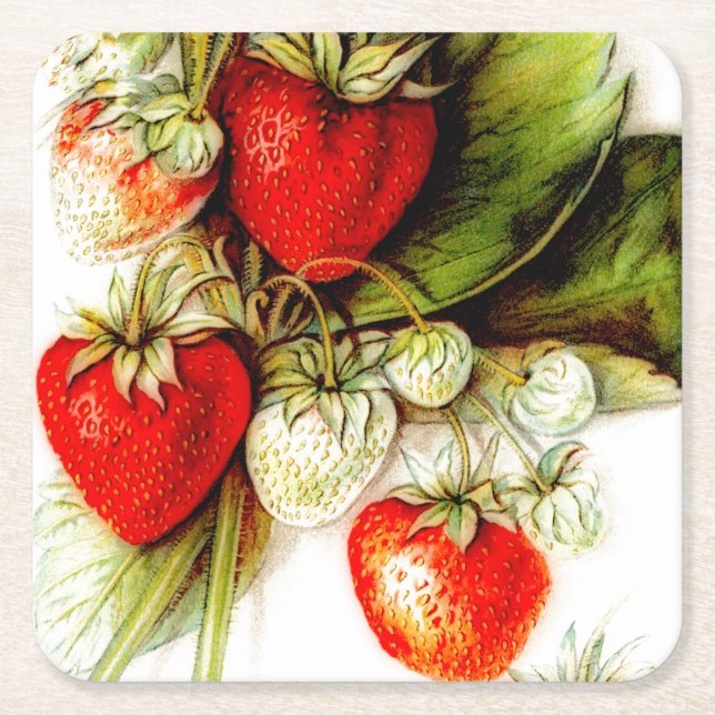 Vintage strawberry square paper coaster (Front)