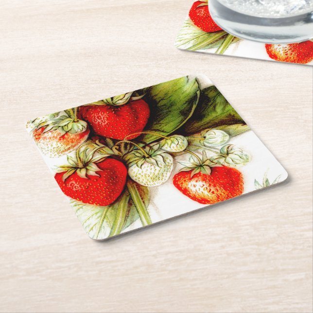 Vintage strawberry square paper coaster (Angled)