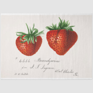 Vintage Strawberry Tissue Paper