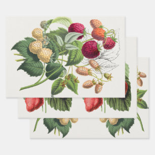 Vintage strawberry wrapping paper sheet