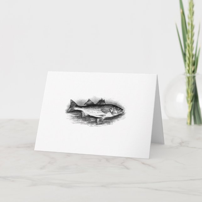 Vintage Striped Bass Illustration Card (Front)