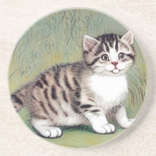 Vintage Striped Kitten Illustration Coaster