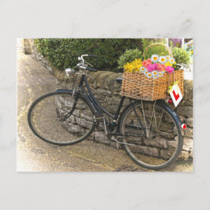 Vintage Style Bicycle Flowers Photo Postcard