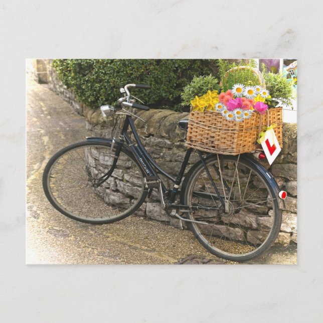 Vintage Style Bicycle Flowers Photo Postcard (Front)