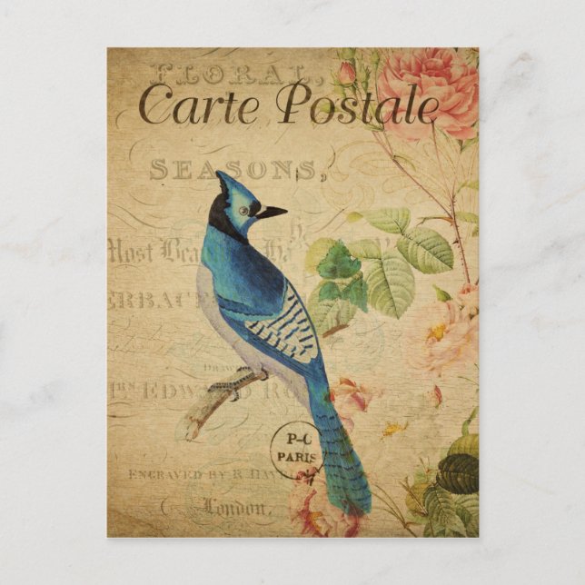 Vintage Style Blue Bird French Carte Postale Postcard (Front)