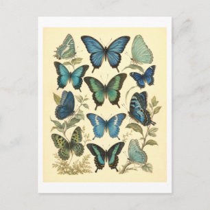 Vintage-Style Blue Butterfly Illustration Postcard