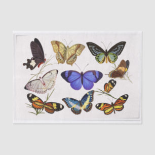 Vintage Style Butterflies Tissue Paper
