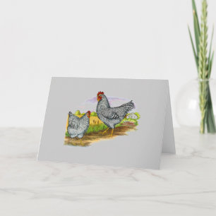 Vintage Style Chickens Greeting Card